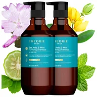 Szampony do włosów - Szampon Oczyszczający Do Włosów Theorie Sea Kelp Mint Purifying 2x 400 ml - miniaturka - grafika 1