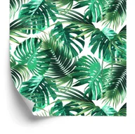 Tapety - Tapeta Liście Palmy I Monstery - miniaturka - grafika 1