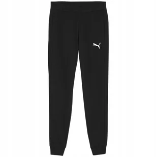 Spodnie męskie Puma Team Goal Casuals czarne 658598 03 L - Dresy męskie - miniaturka - grafika 1