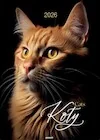 Kalendarze - Kalendarz 2026 ścienny Koty - miniaturka - grafika 1