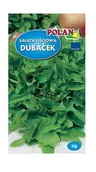 Nasiona i cebule - Sałata dębolistna Dubacek 1 g POLAN - miniaturka - grafika 1
