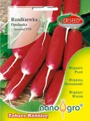 Nasiona i cebule - Nasiona Rzodkiewka (do upr.pod osł.i w polu) Opolanka NANO- Torseed - miniaturka - grafika 1