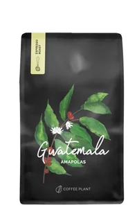 Kawa ziarnista COFFEE PLANT Gwatemala Amapolas 250g - Kawa - miniaturka - grafika 1