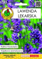 Nasiona i cebule - Nasiona miododajne Lawenda lekarska gr.M3 0,2g - miniaturka - grafika 1