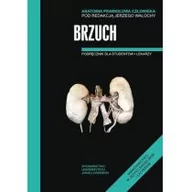 Książki medyczne - Brzuch - miniaturka - grafika 1