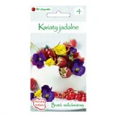 Nasiona i cebule - Legutko Bratek wielkokwiatowy MIESZANKA - miniaturka - grafika 1