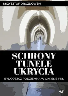 Schrony, tunele, ukrycia - Historia świata - miniaturka - grafika 2
