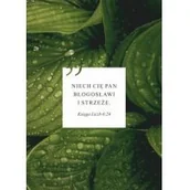 Kartki okolicznościowe i zaproszenia - KOINONIA Karnet - Niech Cię Pan błogosławi - liście - Koinonia - miniaturka - grafika 1