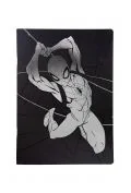Materiały pomocnicze dla nauczycieli - Zeszyt A4 Disney 100 Black Collection Spiderman - miniaturka - grafika 1