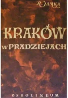 Historia świata - Kraków w pradziejach - miniaturka - grafika 1