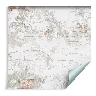 Muralo Tapeta Cegła Mur Retro 29058067 T_F_10mx53_W_29058067_S - Tapety - miniaturka - grafika 1