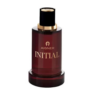 Aigner INITIAL woda perfumowana 100 ml - Wody i perfumy męskie - miniaturka - grafika 1