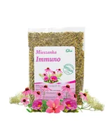 Witaminy i minerały - Mieszanka immuno 100g FLOS - miniaturka - grafika 1
