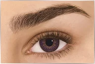 Soczewki kontaktowe - Alcon FreshLook ColorBlends Amethyst, 2 szt. moc 0.0 zerówki - miniaturka - grafika 1