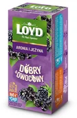 Herbata - Herbata owocowa LOYD Dobry Owocowy - Aronia i jeżyna 20x2,5g - miniaturka - grafika 1