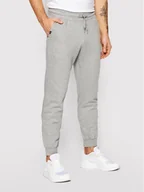 Spodnie sportowe męskie - Joma Spodnie dresowe Urban Street 102477.280 Szary Regular Fit - miniaturka - grafika 1