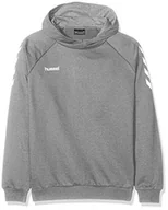 Bluzy męskie - Hummel Hmlgo Kids Cotton męska bluza z kapturem, szary, 152 - miniaturka - grafika 1