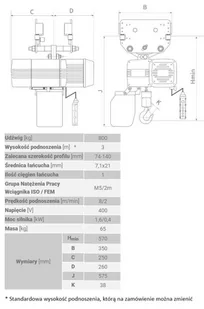 Wciągnik łańcuchowy z wózkiem pchanym (udźwig: 800 kg, wysokość podnoszenia: 3 m) 33979849 - Wciągarki - miniaturka - grafika 2
