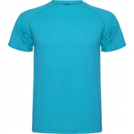 Koszulki męskie - Koszulka Sportowa Męska T-shirt CONTROL DRY ROLY 0425 NIEBIESKI Turkus S - miniaturka - grafika 1
