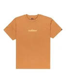 Koszulki męskie - Quiksilver Koszulka z krótkim rękawem EV Fineline SS brązowa 12 - miniaturka - grafika 1