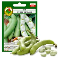 Nasiona i cebule - BÓB WHITE WINDSOR WCZESNY  NASIONA BEZ GMO 50g - miniaturka - grafika 1