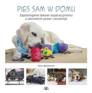 PIES SAM W DOMU ZAPOBIEGANIE LĘKOWI SEPARACYJNEMU U DOROSŁYCH PSÓW I SZCZENIĄT KATE MALLATRATT - Rośliny i zwierzęta - miniaturka - grafika 2