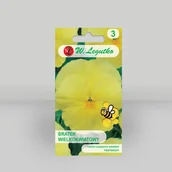 Nasiona i cebule - Nasiona Bratek Luna cytrynowożółty 0.40g - W.Legutko - miniaturka - grafika 1