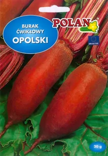 Burak Ćwikłowy Opolski Nasiona 10g Polan - Nasiona i cebule - miniaturka - grafika 1