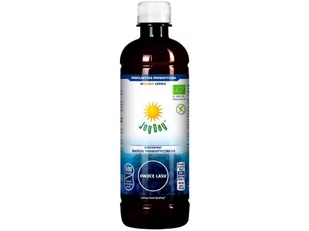 Bio JOY DAY (napoje probiotyczne) KONCENTRAT NAPOJU PROBIOTYCZNEGO OWOCE LASU BEZGLUTENOWY 500 ml - JOY DAY NI-JD-714364 - Soki i napoje niegazowane - miniaturka - grafika 1