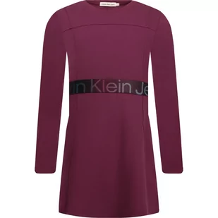 CALVIN KLEIN JEANS Sukienka - Sukienki i spódniczki dla dziewczynek - miniaturka - grafika 1