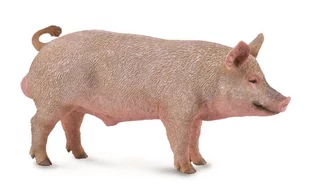 Collecta Knur - Figurki dla dzieci - miniaturka - grafika 1
