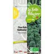 Nasiona i cebule - "Kale Chou Halboher 0,3 g" - miniaturka - grafika 1
