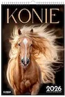 Kalendarze - Kalendarz 2026 A3 wieloplanszowy Konie - miniaturka - grafika 1
