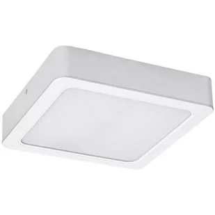 Rabalux Shaun plafon 1x12W LED biały 3174 - Lampy sufitowe - miniaturka - grafika 1