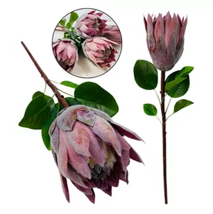 PROTEA SREBRNIK KRÓLEWSKI EGZOTYCZNE SZTUCZNE KWIATY TRAWA PAMAPSOWA DO WAZONÓW TRAWY NA TARAS - Sztuczne kwiaty PROTEA SREBRNIK KRÓLEWSKI EGZOTYCZNE SZTUCZNE KWIATY TRAWA PAMAPSOWA DO WAZONÓW TRAWY NA TARAS - Sztuczne kwiaty - miniaturka - grafika 1