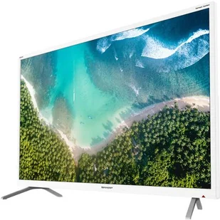 Telewizor Sharp 32BI2EAW - Telewizory - miniaturka - grafika 1