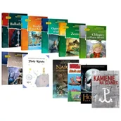 Lektury szkoła podstawowa - Obowiązkowe lektury egzamin 8-klasisty - miniaturka - grafika 1