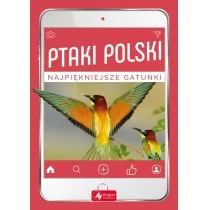 Ptaki Polski Najpiękniejsze Gatunki Anna Przybyłowicz,łukasz Przybyłowicz