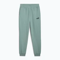 Spodnie sportowe męskie - Spodnie męskie PUMA ESS No. 1 Logo Sweatpants TR CL - miniaturka - grafika 1