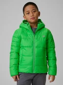Kurtki i płaszcze dla chłopców - 4F Kurtka z wypełnieniem syntetycznym chłopięca - zielona 164 (13-14 lat) - miniaturka - grafika 1