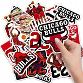 Szkolne artykuły papiernicze - NAKLEJKI NA ZESZYT NALEPKA Z POSTACIAMI SPORT KOSZYKÓWKA BULLS WZORY 10SZT - miniaturka - grafika 1