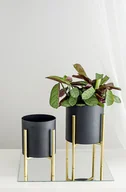 Donice - TAJEMNICZY OGRÓD Osłonka na metalowym stojaku śr. 12 cm czarno-złota MODERN - miniaturka - grafika 1