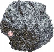 Pasmanteria - Owczarek Flandryjski Haft Naszywka Przyszywka Łata - miniaturka - grafika 1