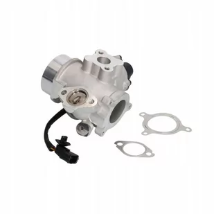 DELPHI Zawór AGR EG10461-12B1 EG10461-12B1 - Akcesoria do układu elektrycznego - miniaturka - grafika 1