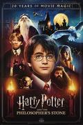 Plakaty - Harry Potter 20 Years Of Movie Magic - plakat - miniaturka - grafika 1