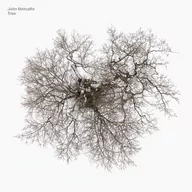 Muzyka alternatywna - Tree - miniaturka - grafika 1
