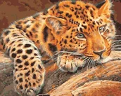 Malowanie po numerach - Zmęczona pantera - Malowanie po numerach 50x40 cm - miniaturka - grafika 1