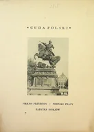 Historia Polski - Lwów 1931 r. - miniaturka - grafika 1