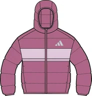 Kurtki i płaszcze dla chłopców - adidas Uniseks - dzieci SYNTHETIC DOWN JACKET, pink fusion/clear pink/true pink, 15-16 Years - miniaturka - grafika 1