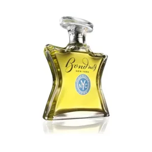 Bond No. 9 Riverside Drive Woda perfumowana 100 ml - Wody i perfumy męskie - miniaturka - grafika 1